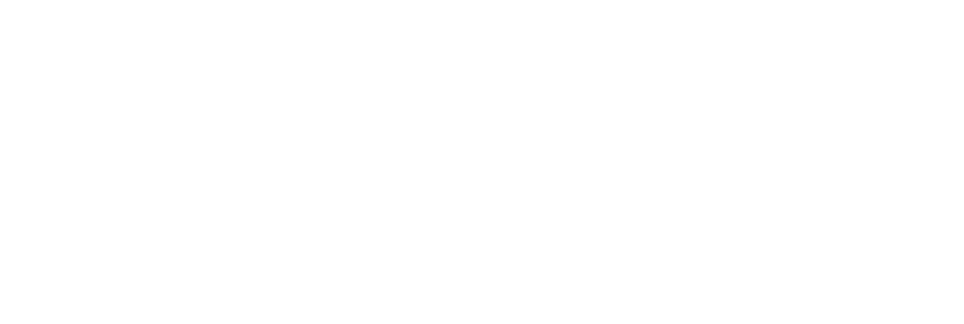 Socialisten Overijssel